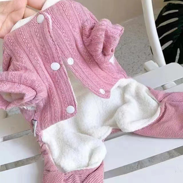 Winter Thick Cotton Pet Coat with Rabbit Ear Lace